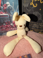 BOX THE V – TOME 1 • ÉDITION SPÉCIALE