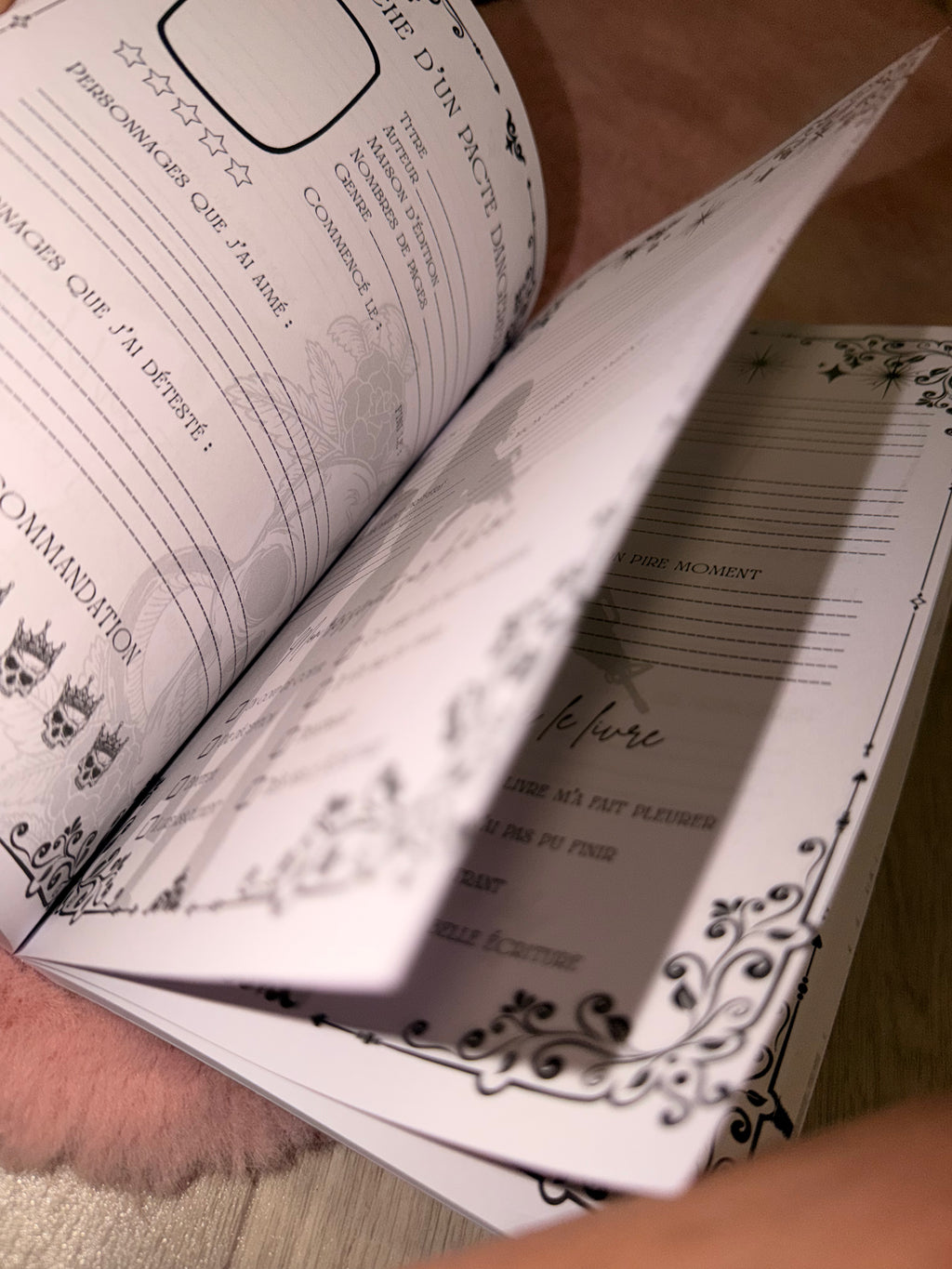 BOX THE V – TOME 1 • ÉDITION SPÉCIALE